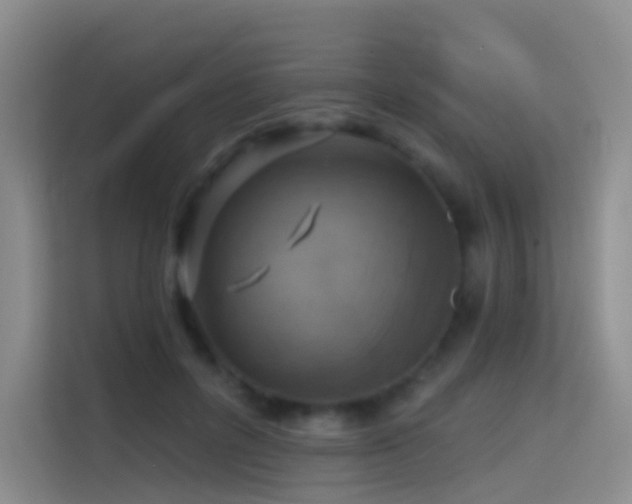 X0000114670600200910211152