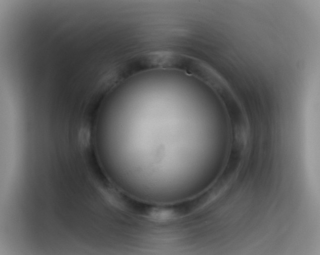 X0000114670602200910211152