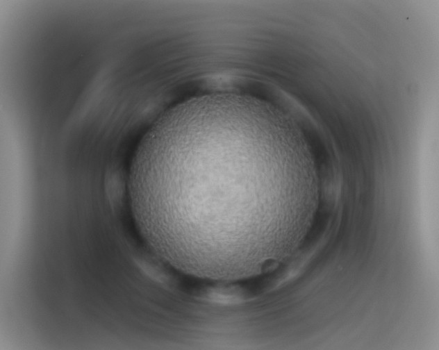 X0000114670603200910211152