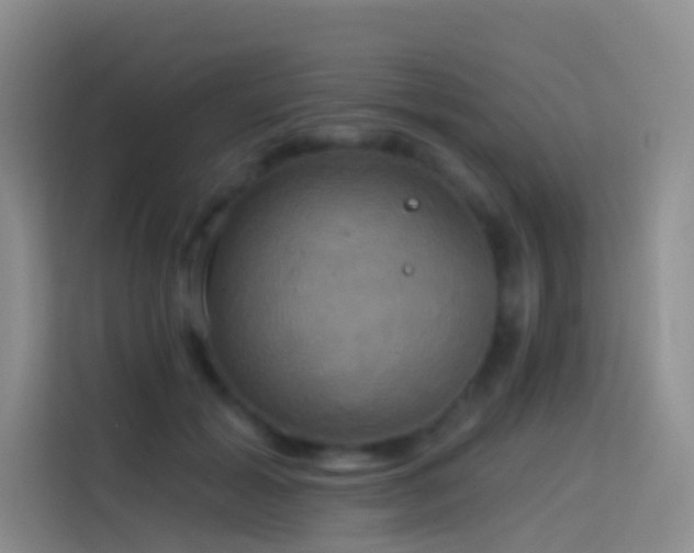 X0000114670605200910211152