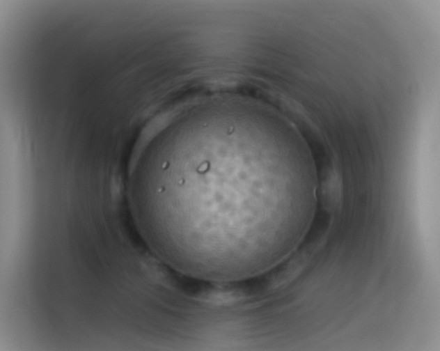 X0000114670608200910211152