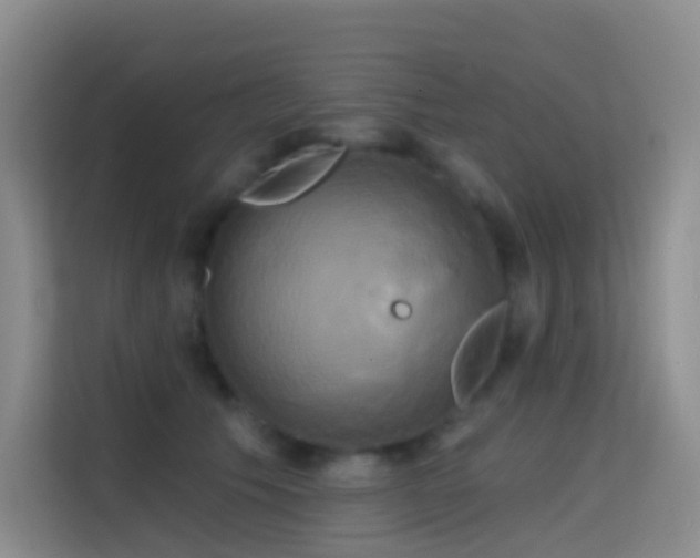 X0000114670609200910211152