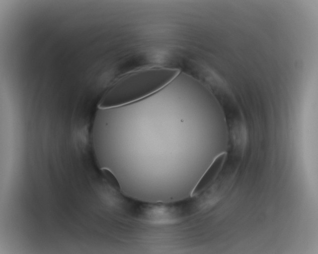 X0000114670611200910211151