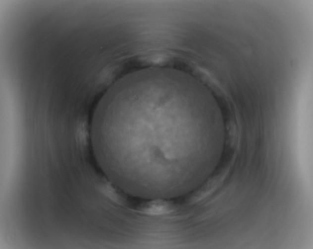 X0000114670612200910211151