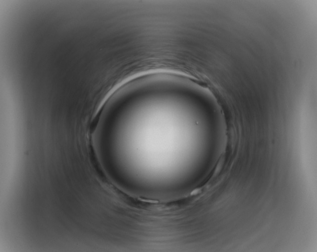 X0000114670613200910211151