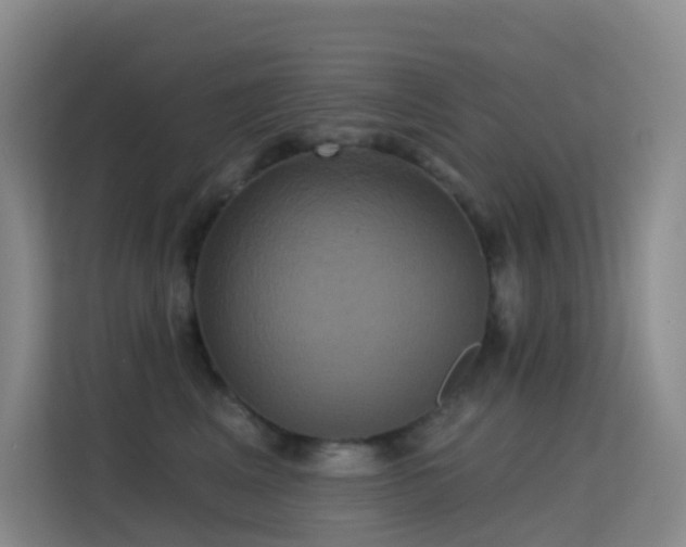 X0000114670617200910211151