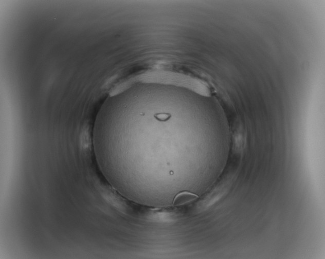 X0000114670620200910211151