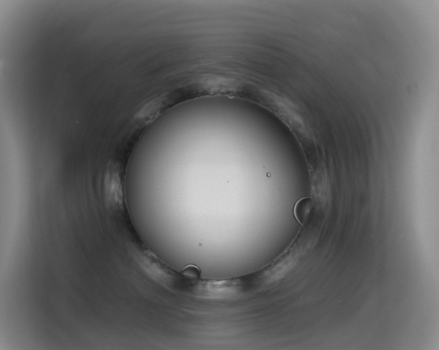 X0000114670622200910211151