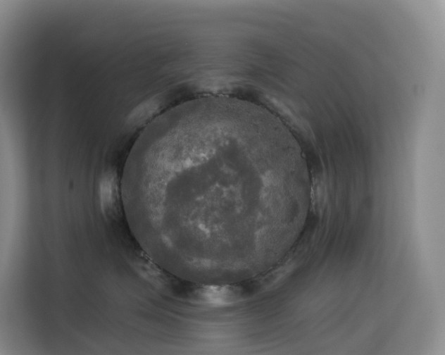 X0000114670623200910211151