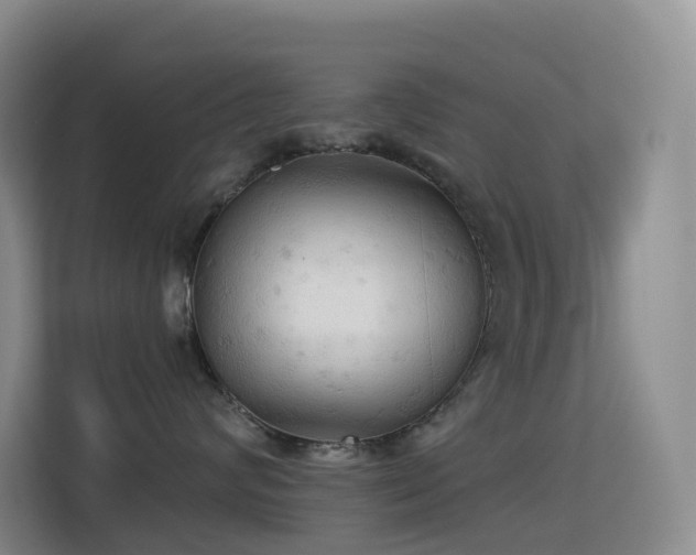 X0000114670624200910211151