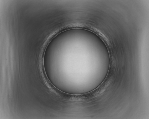 X0000114670625200910211151