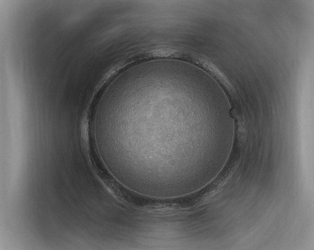 X0000114670626200910211151