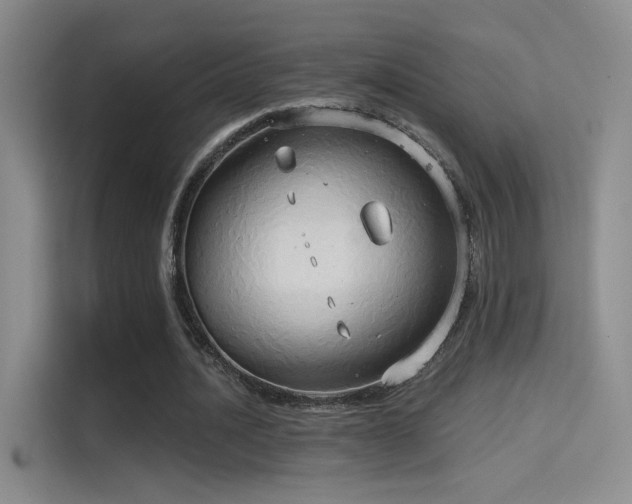 X0000114670628200910211151