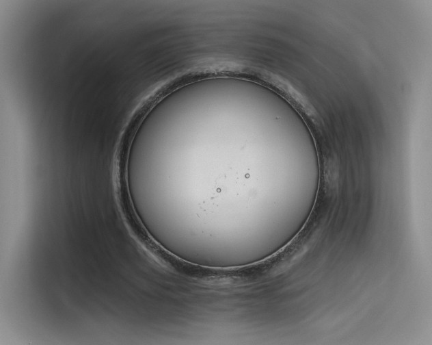 X0000114670629200910211151