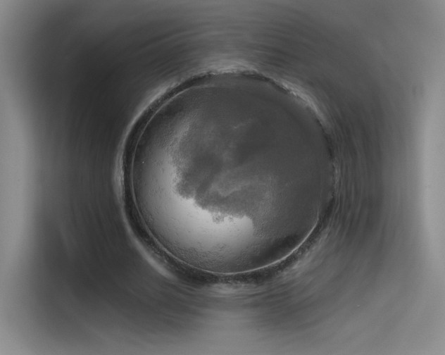 X0000114670630200910211151