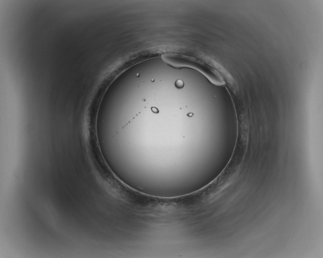 X0000114670631200910211151