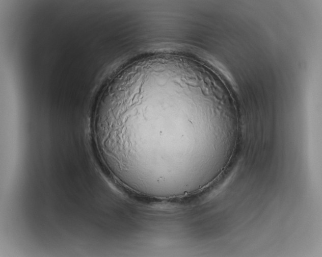 X0000114670633200910211151