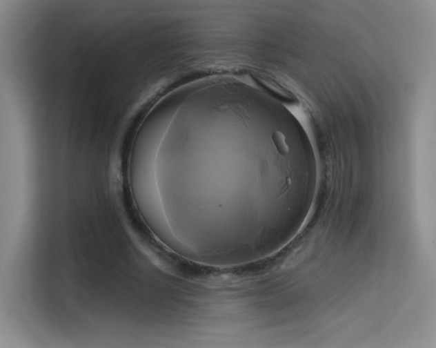 X0000114670634200910211151