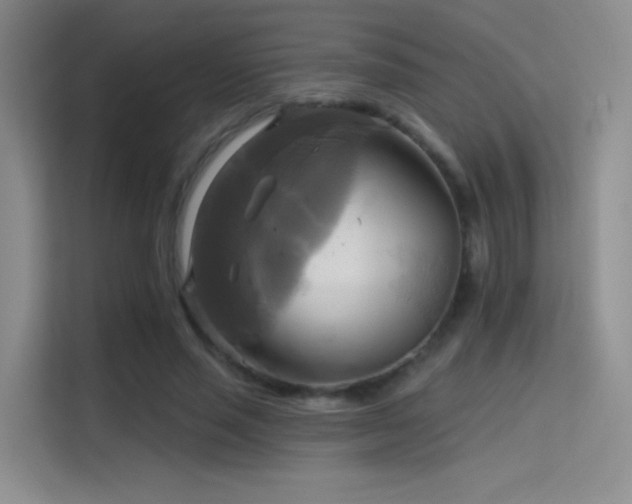 X0000114670637200910211151