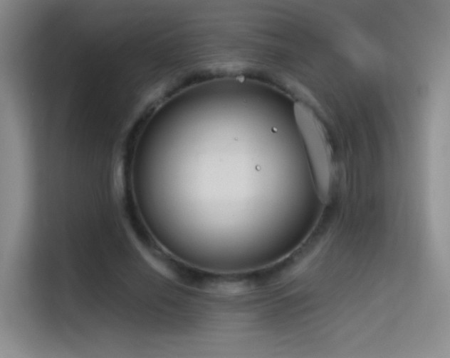 X0000114670638200910211151