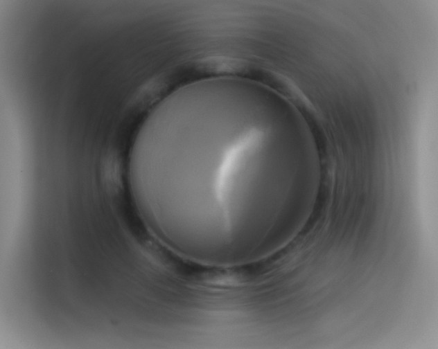 X0000114670643200910211151