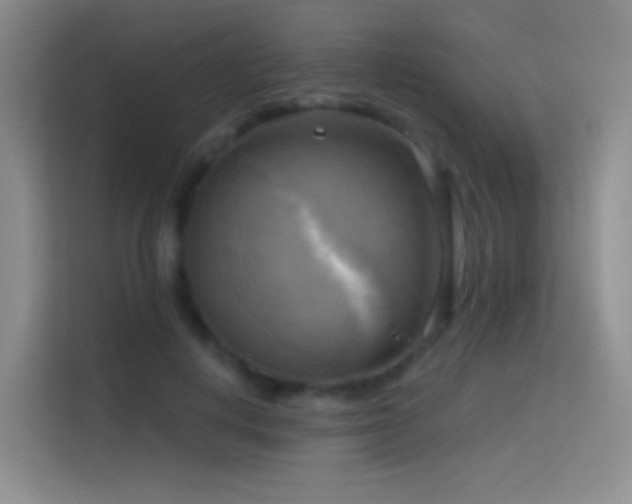 X0000114670648200910211151