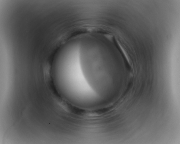 X0000114670650200910211151