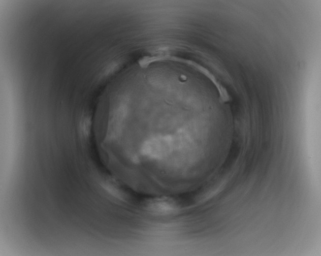 X0000114670652200910211151