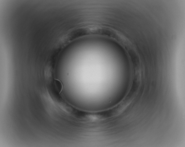 X0000114670654200910211151