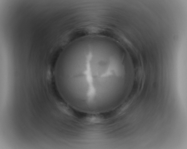 X0000114670655200910211151