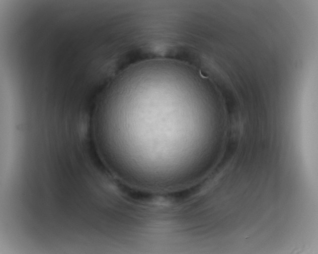 X0000114670656200910211151