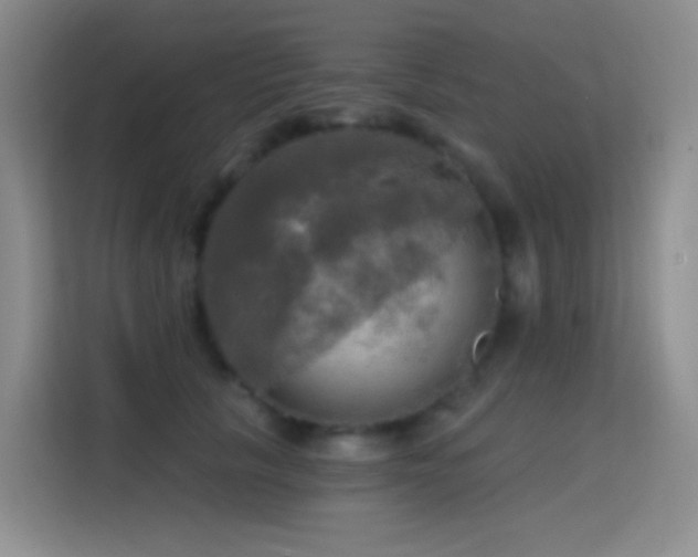 X0000114670657200910211151