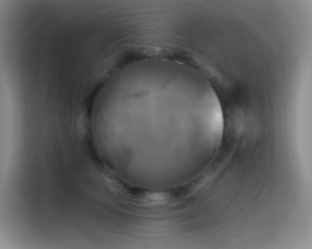 X0000114670659200910211151