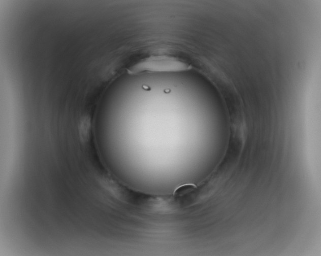 X0000114670660200910211151