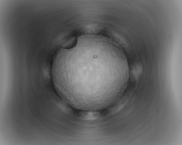 X0000114670663200910211151