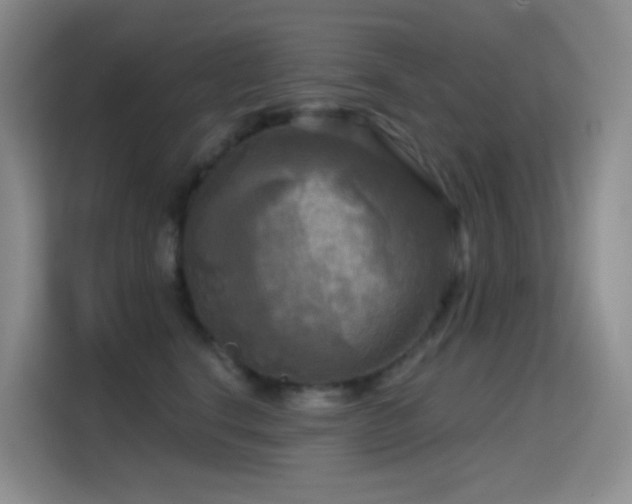 X0000114670664200910211151