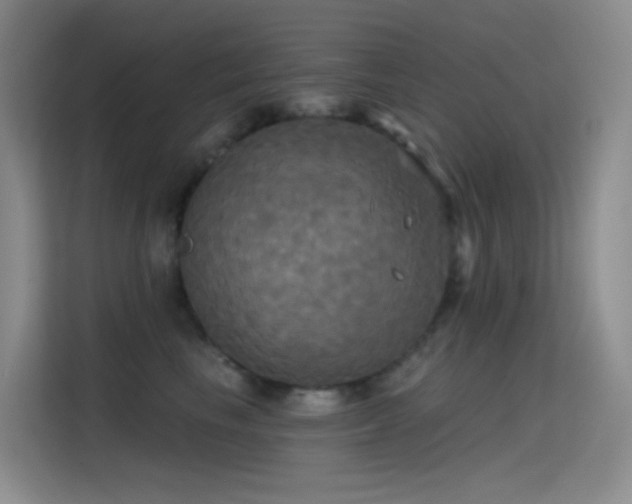 X0000114670665200910211151