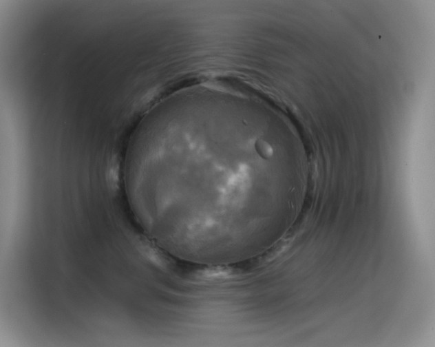 X0000114670668200910211151