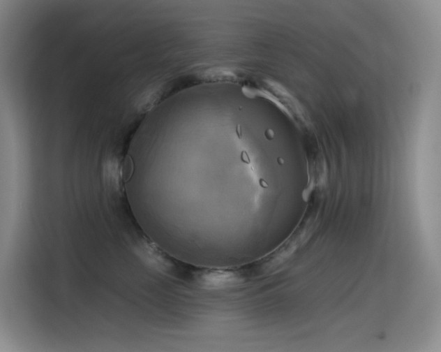 X0000114670669200910211151