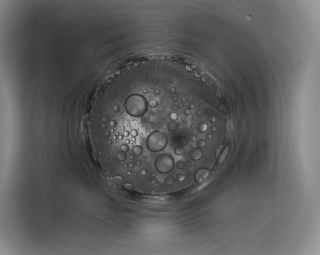 X0000114670671200910211151