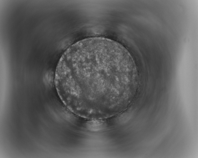 X0000114670672200910211151