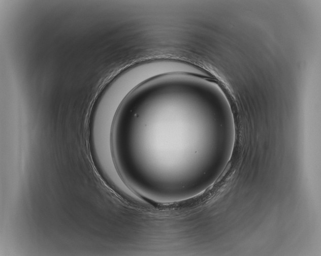 X0000114670673200910211151