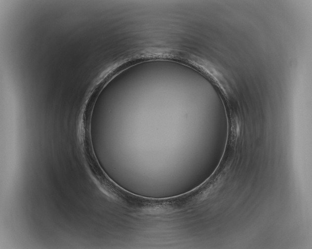 X0000114670674200910211151