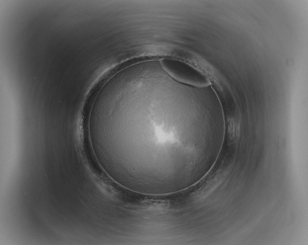 X0000114670676200910211151