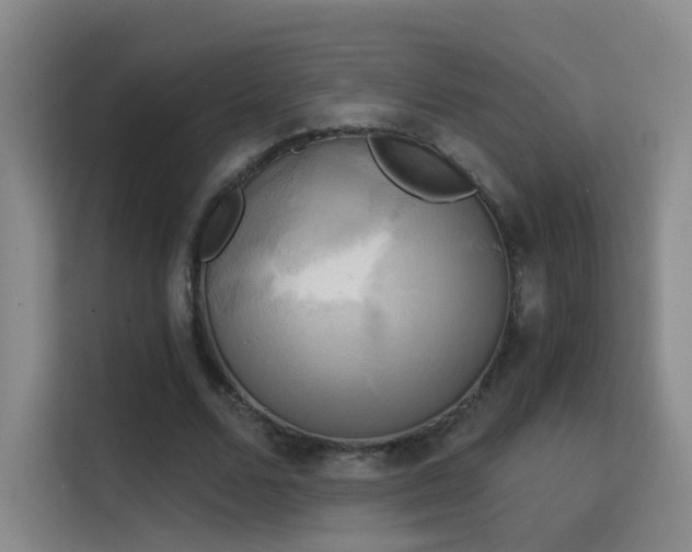 X0000114670680200910211151