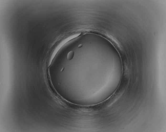 X0000114670681200910211151