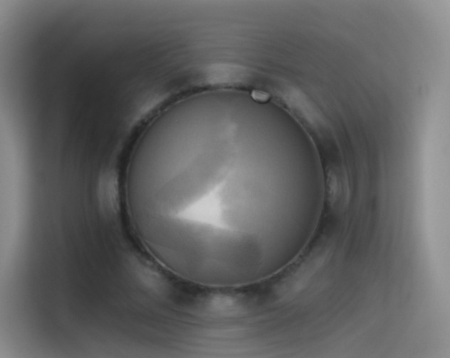 X0000114670684200910211151