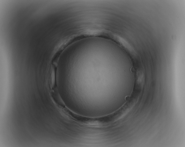 X0000114670685200910211151