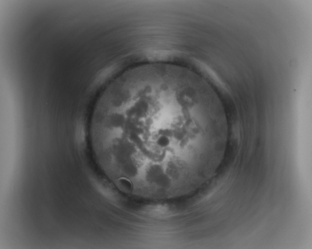 X0000114670687200910211150