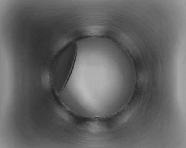 X0000114670688200910211150